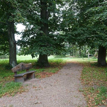 Fewo In Neustadt/Dosse, Der Stadt Der Pferde Leddin 外观 照片